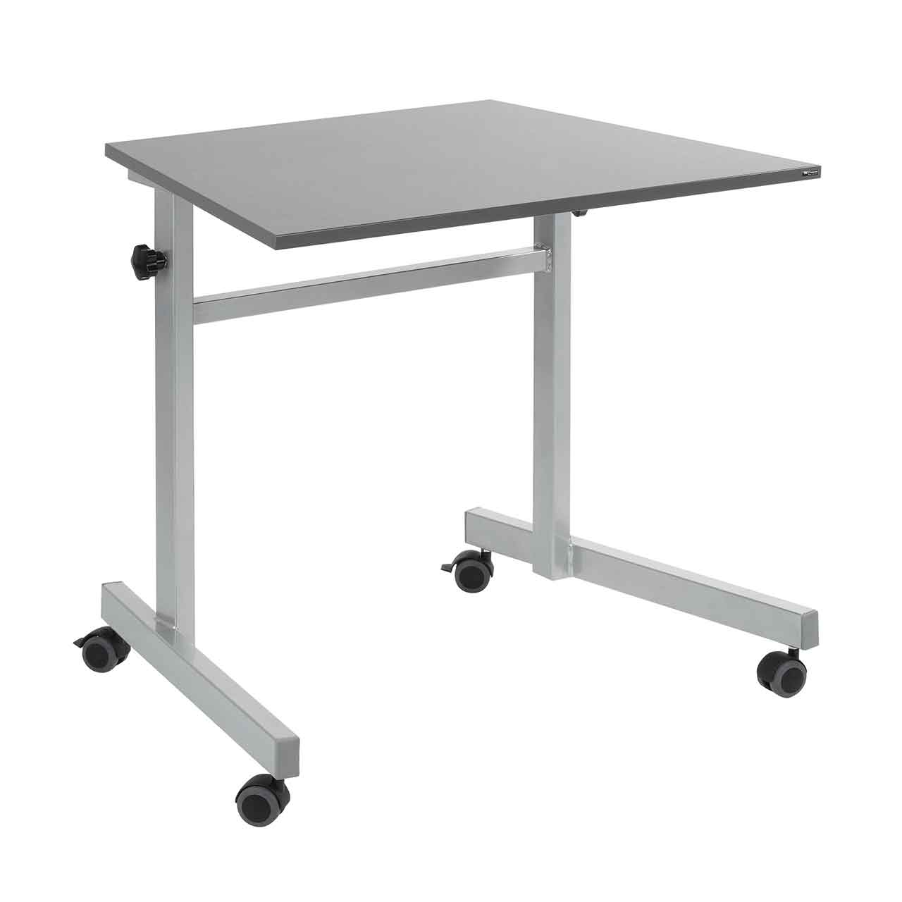 Schweizer_Bildschirmlesegeraet_Tisch Schweizer eMag Table Bildschirmlesegeräte-Tisch (höhenverstellbar)